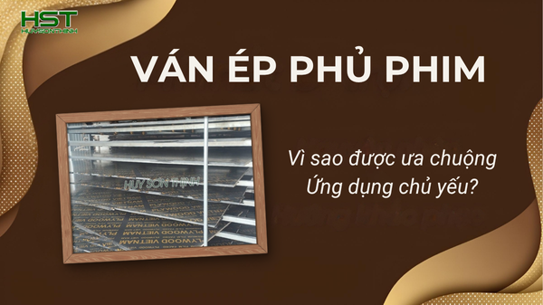 Ván  ép phủ phim là gì 
